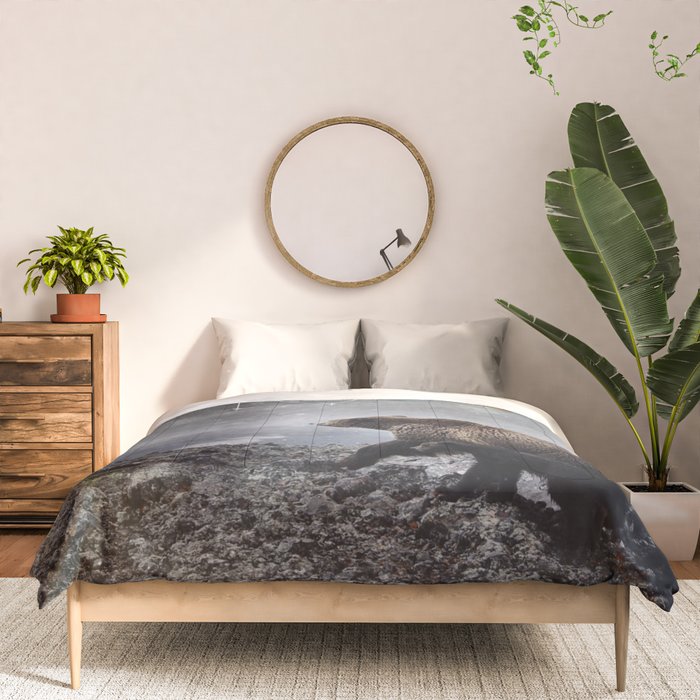 Ursa Major Comforter Gallery Image 3