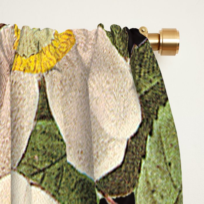 Bloom 18 Window Curtain Gallery Image 2