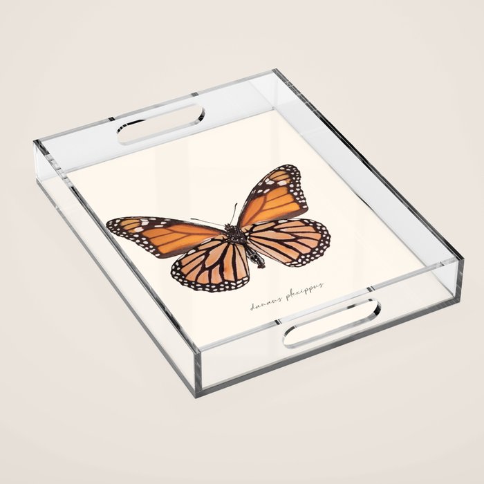 Monarch Butterfly (Danaus Plexippus) Acrylic Tray Gallery Image 1