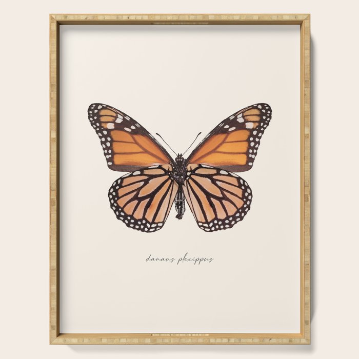 Monarch Butterfly (Danaus Plexippus) Serving Tray Gallery Image 1