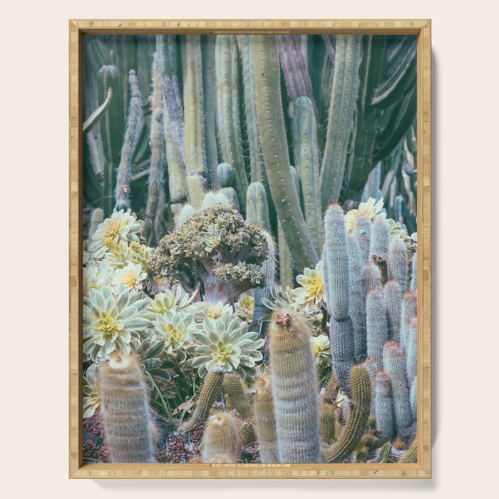 Cactus Garden #4 - Boho Botanical Serving Tray Gallery Image 1