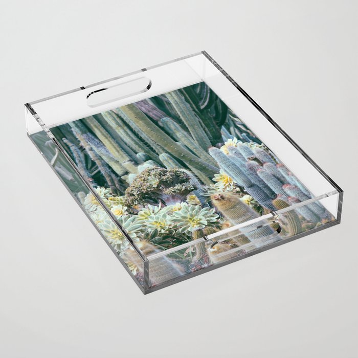 Cactus Garden #4 - Boho Botanical Acrylic Tray Gallery Image 1