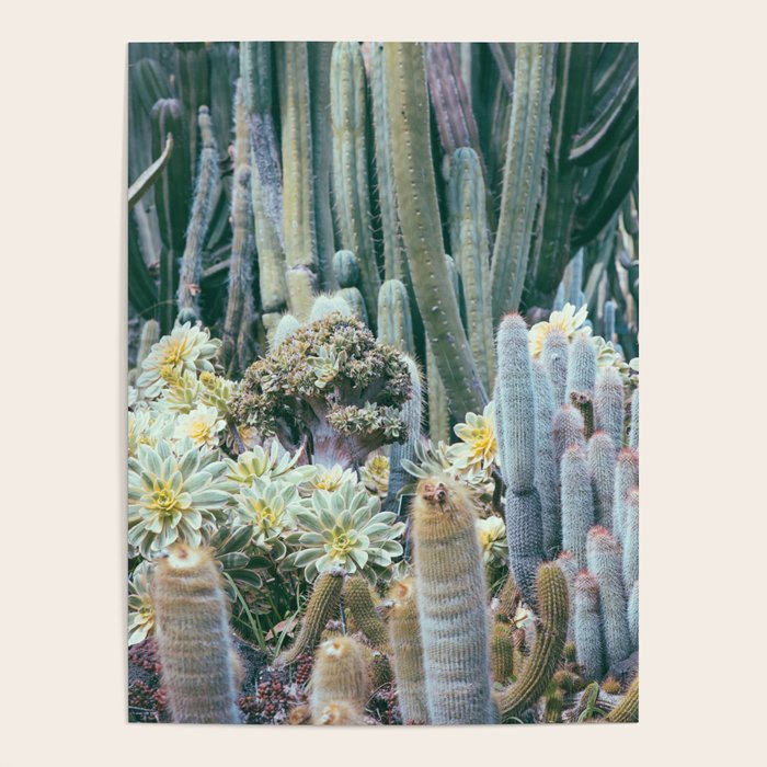 Cactus Garden #4 - Boho Botanical Poster Gallery Image 4