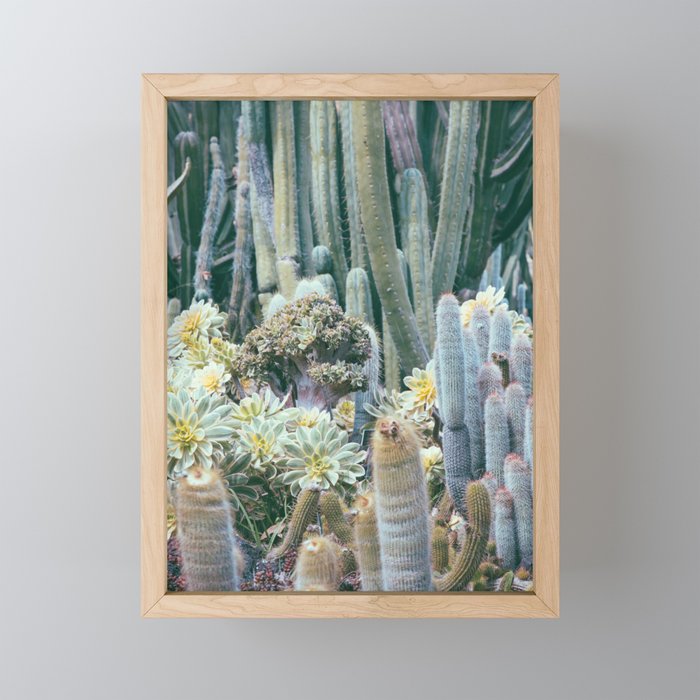 Cactus Garden #4 - Boho Botanical Mini Art Print Gallery Image 1