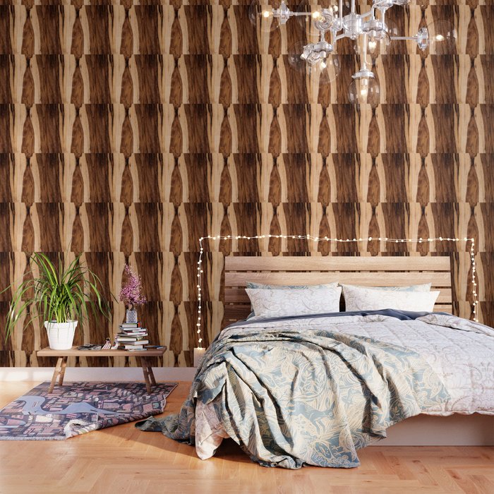 Sheesham Wood Grain Texture, Close Up Wallpaper Gallery Image 1