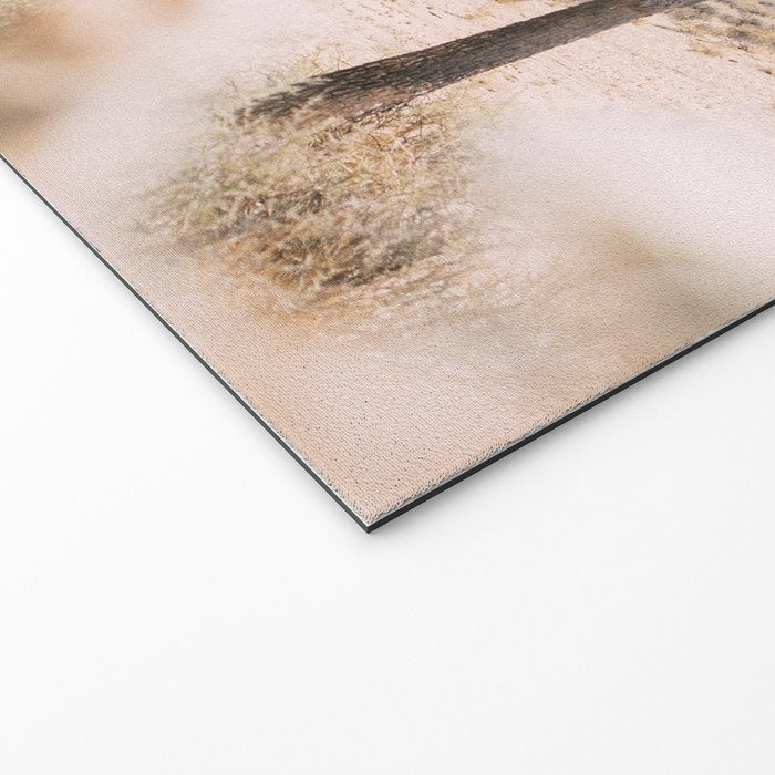 Joshua Tree National Park - California Boho Desert Photo in Neutral Welcome Mat Gallery Image 2