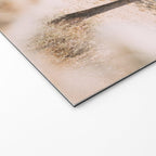 Joshua Tree National Park - California Boho Desert Photo in Neutral Welcome Mat Gallery Image 2
