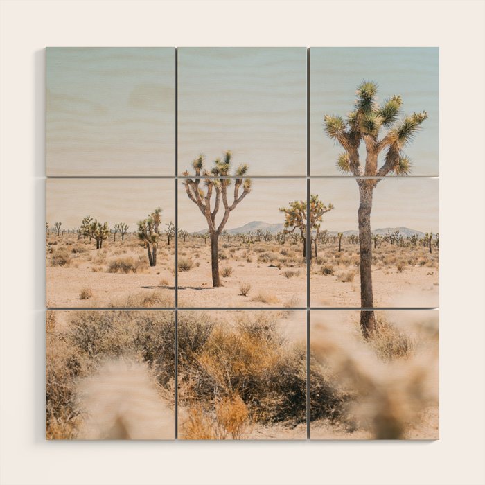 Joshua Tree National Park - California Boho Desert Photo in Neutral Wood Wall Art Gallery Image 1