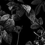 DARK FLOWER Coffee Mug Gallery Image 2
