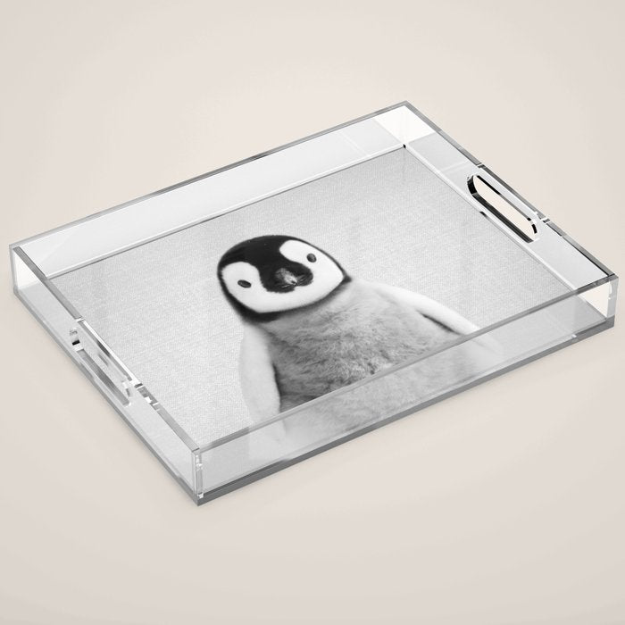 Baby Penguin - Black & White Acrylic Tray Gallery Image 1