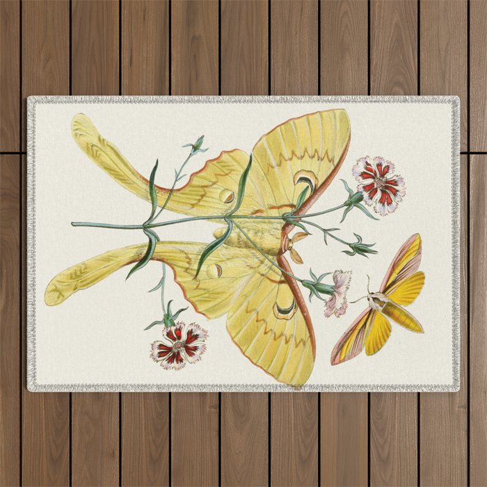 Vintage Yellow Luna Moth with Wildflowers Outdoor Rug Gallery Image 1