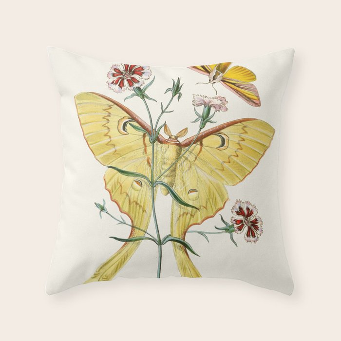 Vintage Yellow Luna Moth with Wildflowers Throw Pillow Gallery Image 6