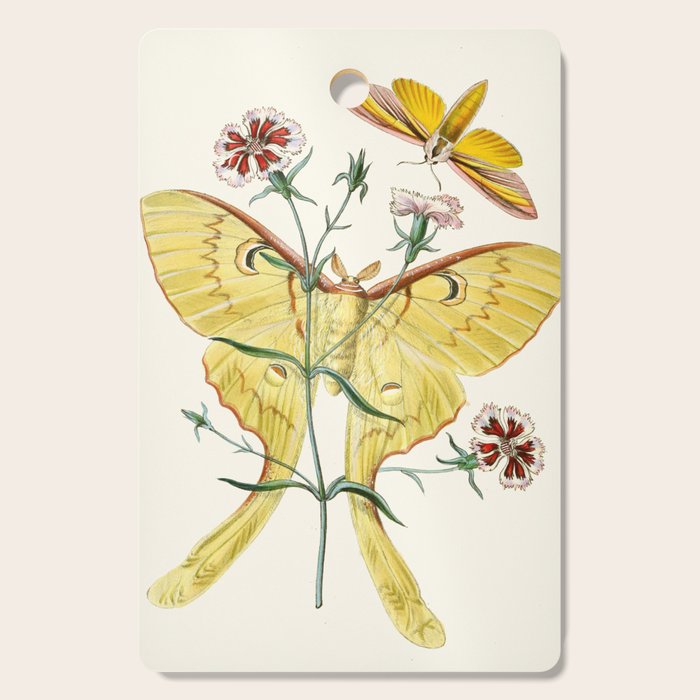 Vintage Yellow Luna Moth with Wildflowers Cutting Board Gallery Image 1