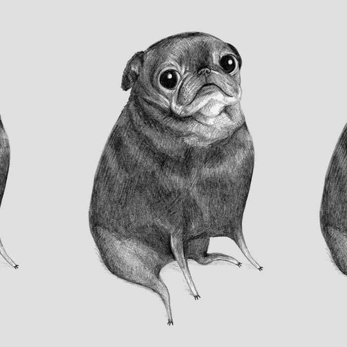 Sweet Black Pug Coffee Mug Gallery Image 2