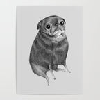 Sweet Black Pug Poster Gallery Image 4