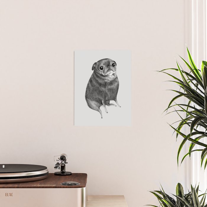Sweet Black Pug Poster Gallery Image 2
