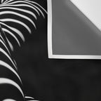 0774-AR BBW Sensual Legs Hips and Ass of a Large Woman Big Beautiful Art Nude Black and White Wall Tapestry Gallery Image 3