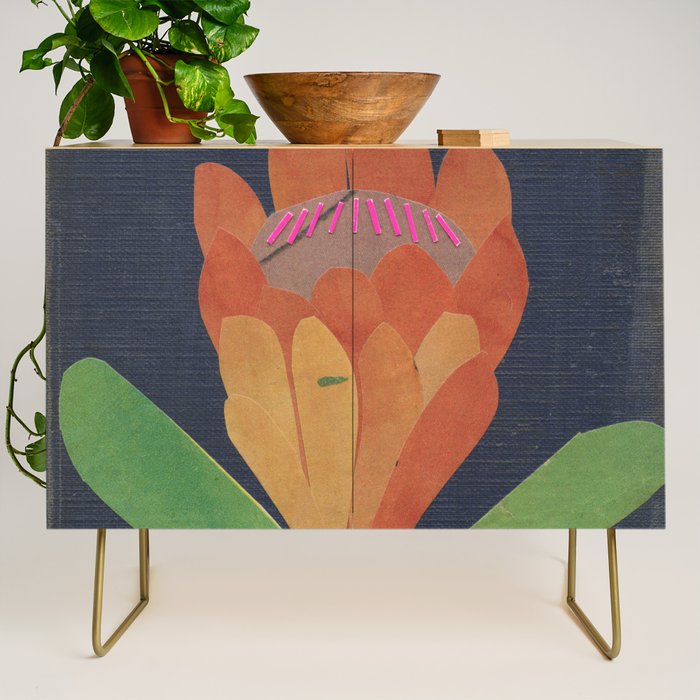 Protea Credenza Gallery Image 1