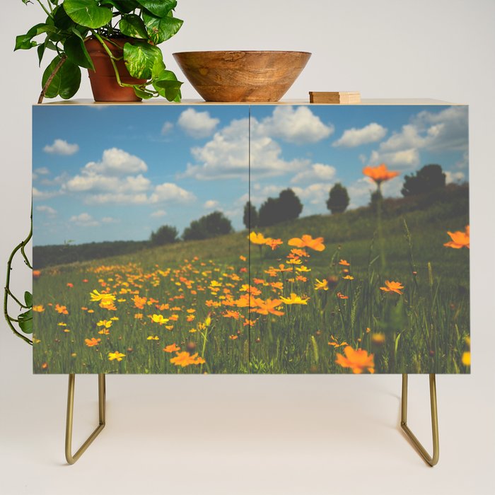 Dreaming in a Summer Field - boho nature wildflower photograph Credenza Gallery Image 1