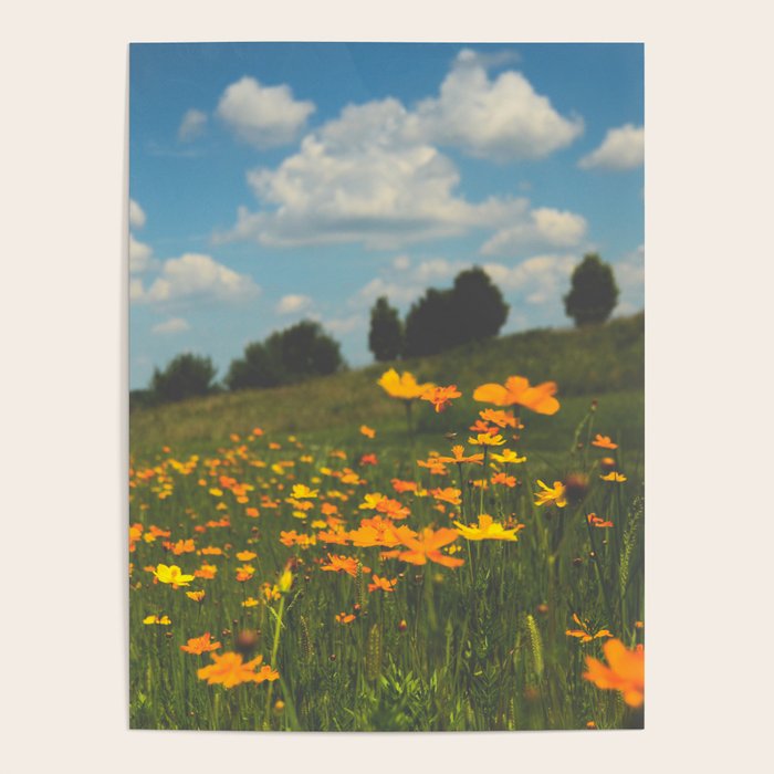 Dreaming in a Summer Field - boho nature wildflower photograph Poster Gallery Image 4