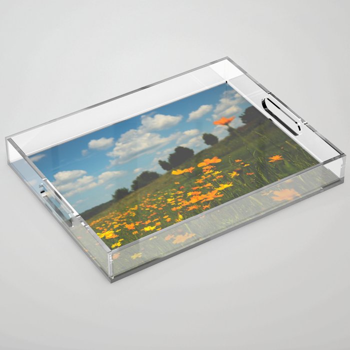 Dreaming in a Summer Field - boho nature wildflower photograph Acrylic Tray Gallery Image 1