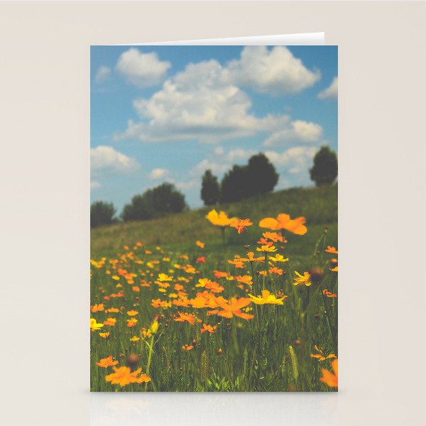 Dreaming in a Summer Field - boho nature wildflower photograph Stationery Card Gallery Image 2