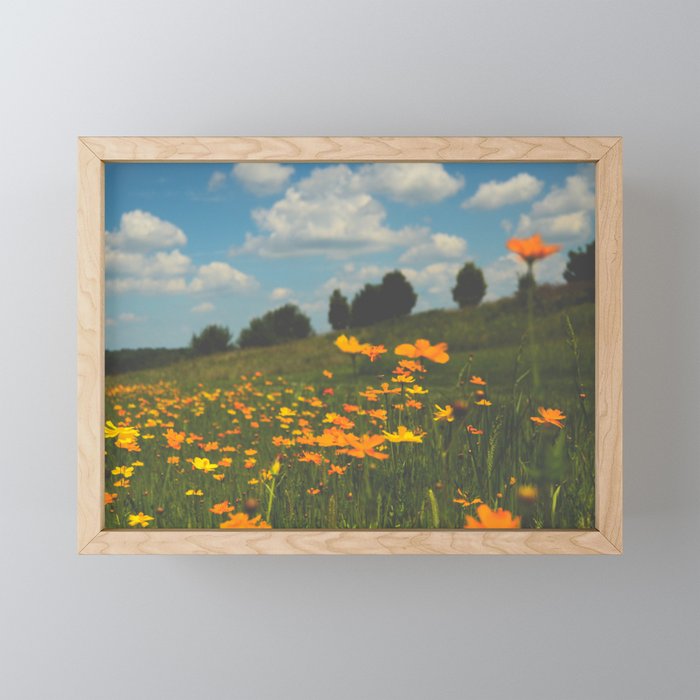 Dreaming in a Summer Field - boho nature wildflower photograph Mini Art Print Gallery Image 1