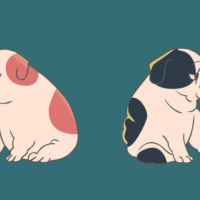 English Bulldog Kisses Coffee Mug Gallery Image 2