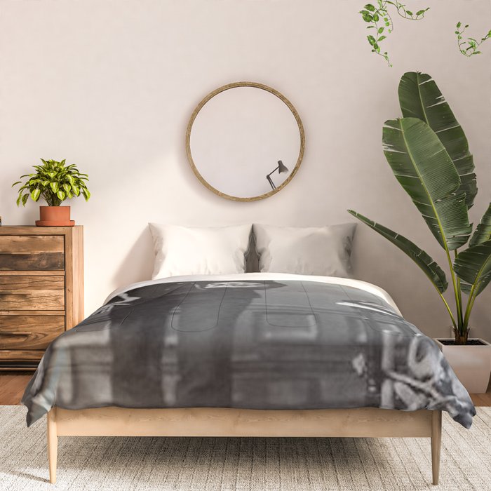 Edgar Allan Poe with Skull and Skeleton macabre black and white photograph Comforter Gallery Image 3