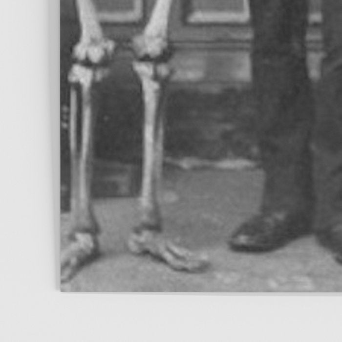 Edgar Allan Poe with Skull and Skeleton macabre black and white photograph Poster Gallery Image 3