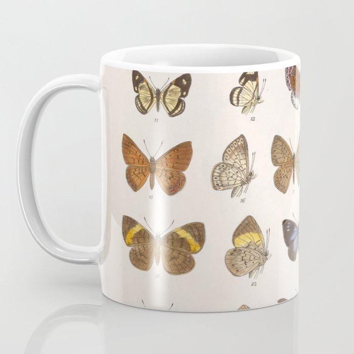 Vintage Scientific Insect Butterfly Moth Biological Hand Drawn Species Art Illustration Coffee Mug Gallery Image 3