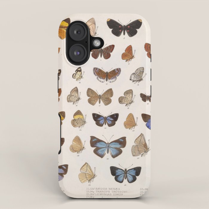 Vintage Scientific Insect Butterfly Moth Biological Hand Drawn Species Art Illustration iPhone Case Gallery Image 1