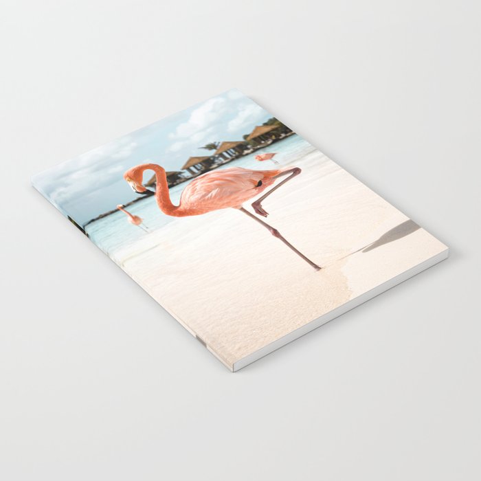 Pink Flamingo Beach Summer Photo | Aruba Tropical Island Art Print | Caribbean Travel Photography Notebook Gallery Image 1