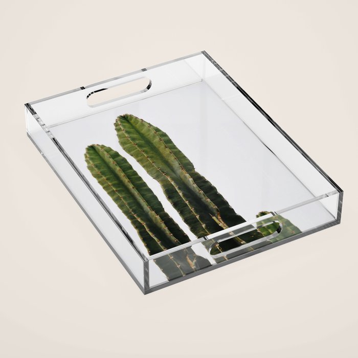Minimalist Cactus Acrylic Tray Gallery Image 1