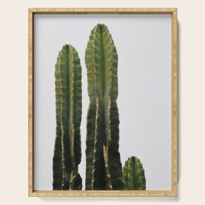 Minimalist Cactus Serving Tray Gallery Image 1