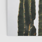Minimalist Cactus Poster Gallery Image 3