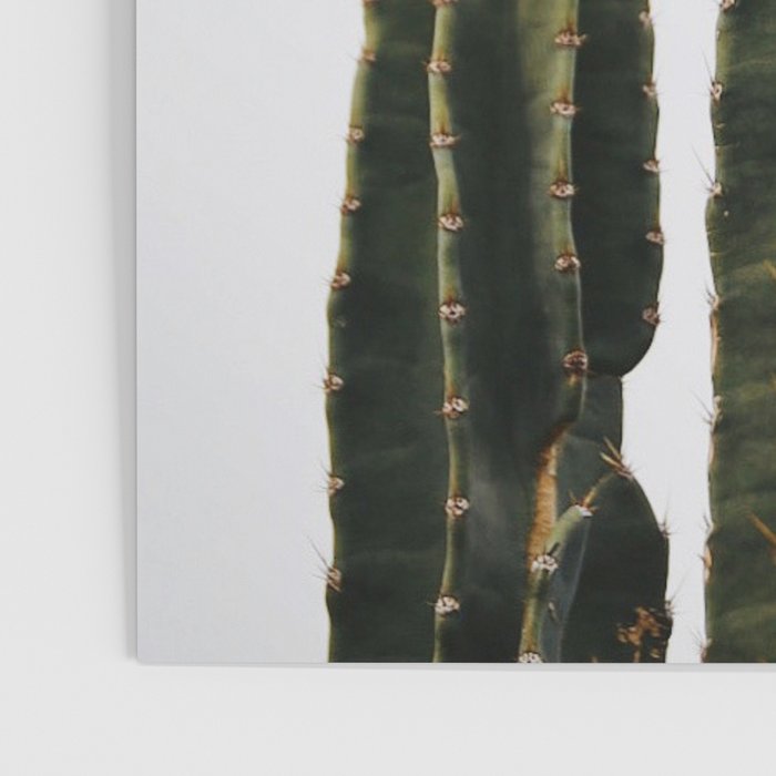 Minimalist Cactus Poster Gallery Image 3