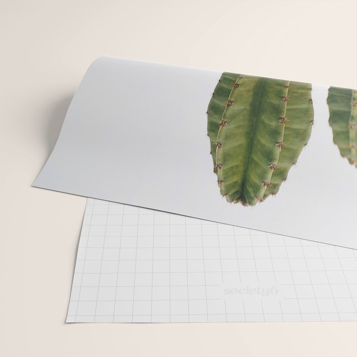 Minimalist Cactus Wrapping Paper Gallery Image 2