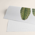 Minimalist Cactus Wrapping Paper Gallery Image 2