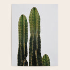 Minimalist Cactus Poster Gallery Image 4