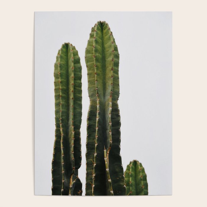 Minimalist Cactus Poster Gallery Image 4