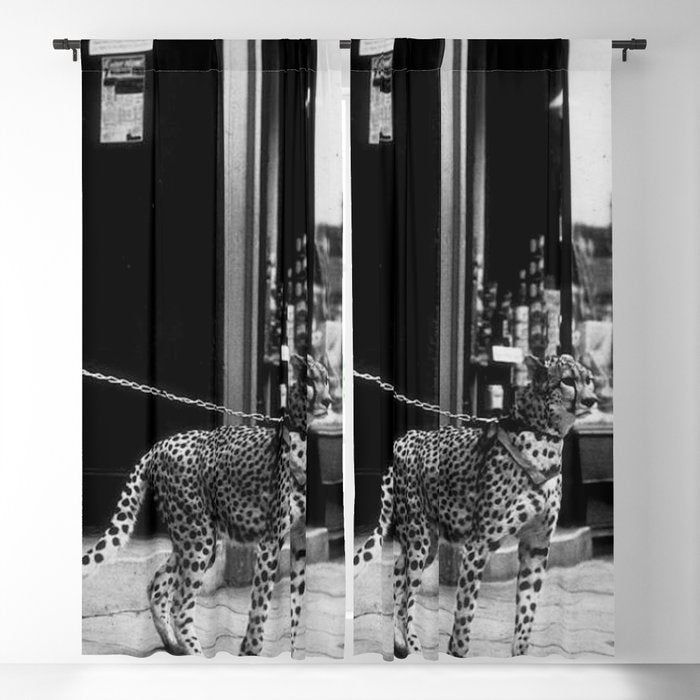 Woman Walking Pet Cheetah in London, 1939 Window Curtain Gallery Image 5