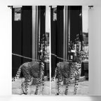 Woman Walking Pet Cheetah in London, 1939 Window Curtain Gallery Image 5