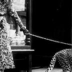 Woman Walking Pet Cheetah in London, 1939 Coffee Mug Gallery Image 2