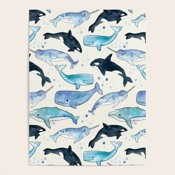 Whales, Orcas & Narwhals Poster Gallery Image 1