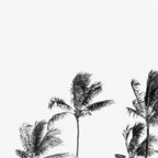 Hawaii Palm Trees - Black and White Photography Coffee Mug Gallery Image 2