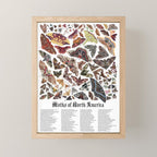 Moths of North America Mini Art Print Gallery Image 1