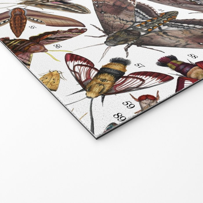 Moths of North America Welcome Mat Gallery Image 2