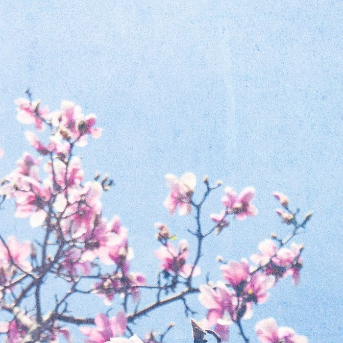 She Bloomed Everywhere She Went Coffee Mug Gallery Image 2
