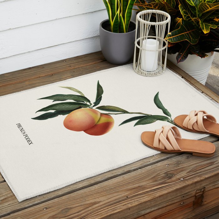Beach Peach Outdoor Rug Gallery Image 2